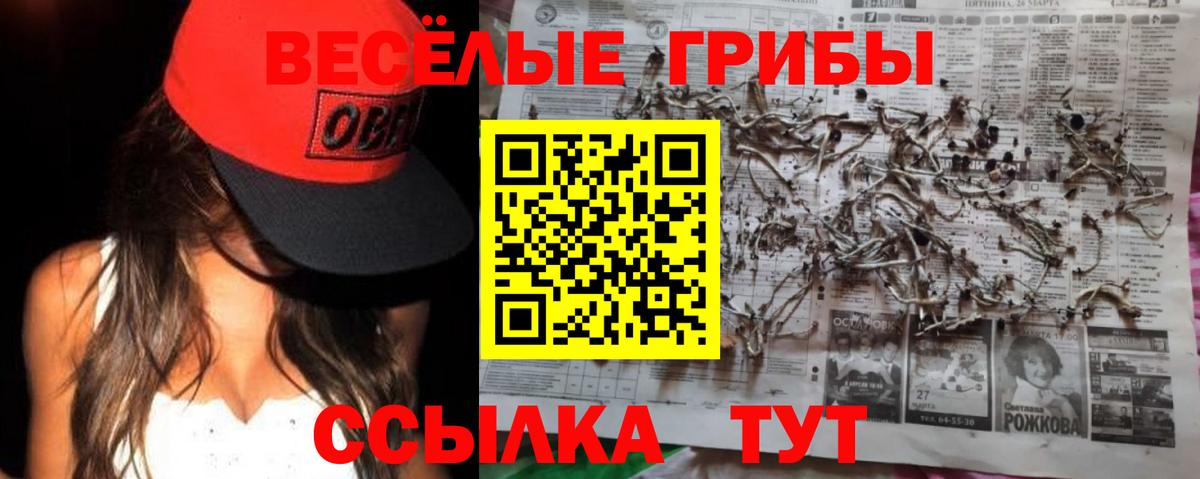 цена   Вход с VPN  Щёкино  Псилоцибиновые грибы прущие грибы  Галлюциногенные грибы Psilocybine cubensis 
